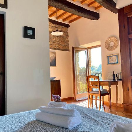 La Sorpresa Monolocale Con Vista Vallata Pitigliano Eksteriør bilde