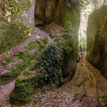 La Sorpresa Monolocale Con Vista Vallata Pitigliano Eksteriør bilde