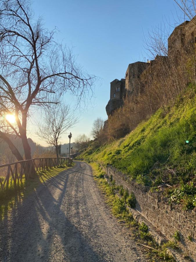 La Sorpresa Monolocale Con Vista Vallata Pitigliano Eksteriør bilde