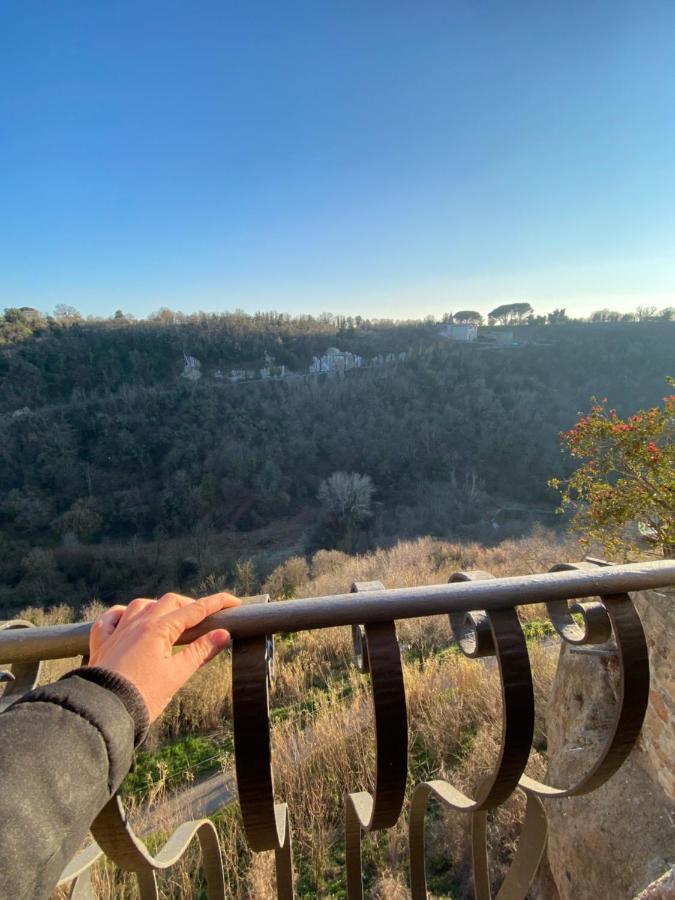 La Sorpresa Monolocale Con Vista Vallata Pitigliano Eksteriør bilde
