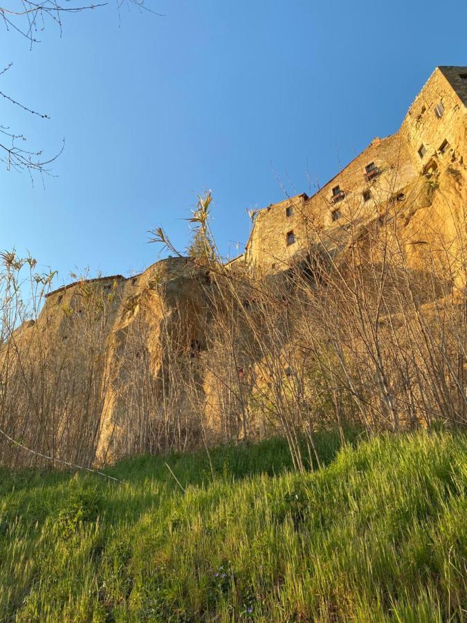 La Sorpresa Monolocale Con Vista Vallata Pitigliano Eksteriør bilde