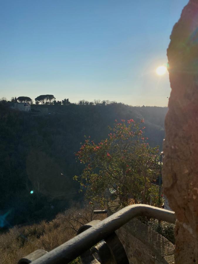 La Sorpresa Monolocale Con Vista Vallata Pitigliano Eksteriør bilde