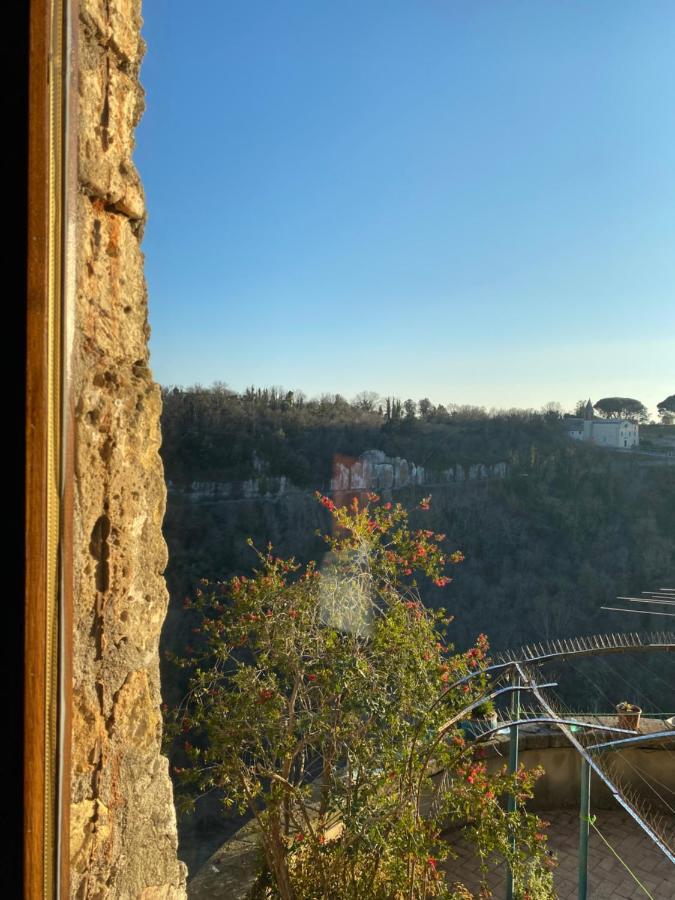 La Sorpresa Monolocale Con Vista Vallata Pitigliano Eksteriør bilde