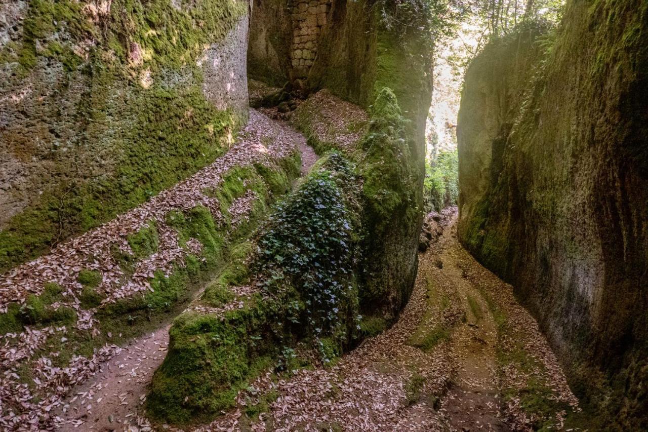 La Sorpresa Monolocale Con Vista Vallata Pitigliano Eksteriør bilde