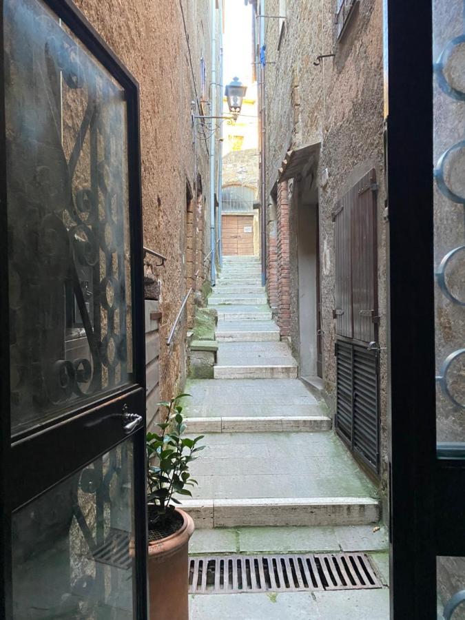 La Sorpresa Monolocale Con Vista Vallata Pitigliano Eksteriør bilde